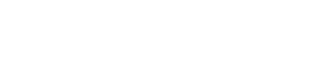 Gnowise logo (white)